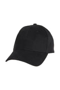 Topi Bisbol