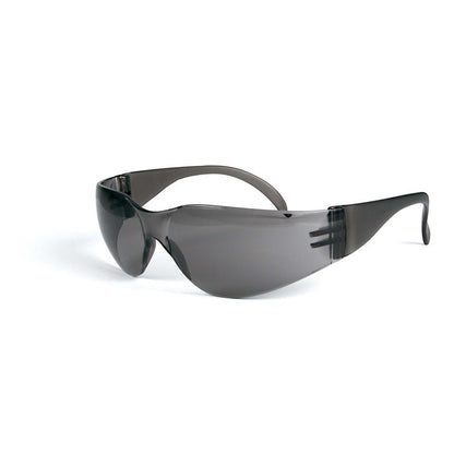 Blue Rapta Safety Glasses