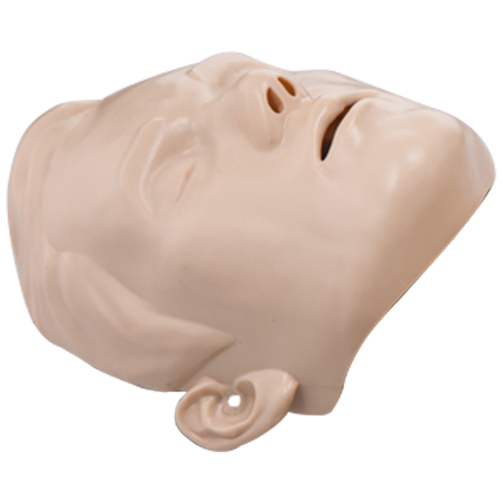 Pele facial de manequim BRAYDEN - Adulto